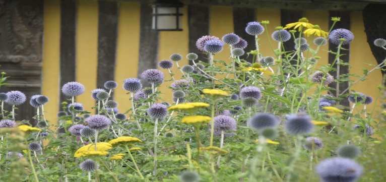 Shropshire holiday let gallery image